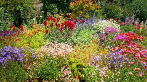 Jardins d'agrément et en permaculture