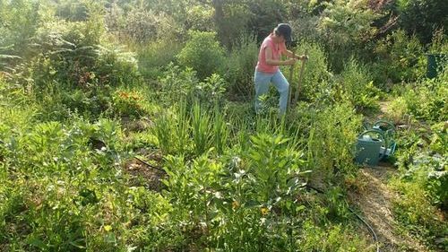 Atelier Potager