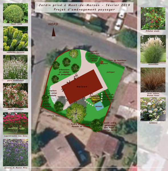 Plan projet jardin paysager