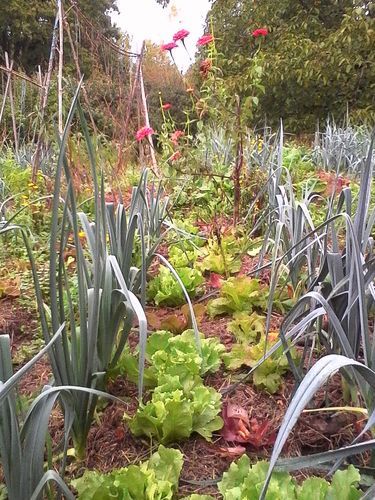 Atelier permaculture