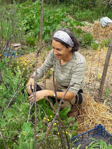 Atelier permaculture